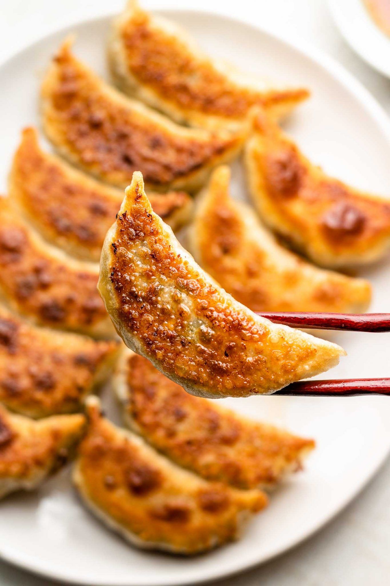 Veggie Gyoza (5pc)