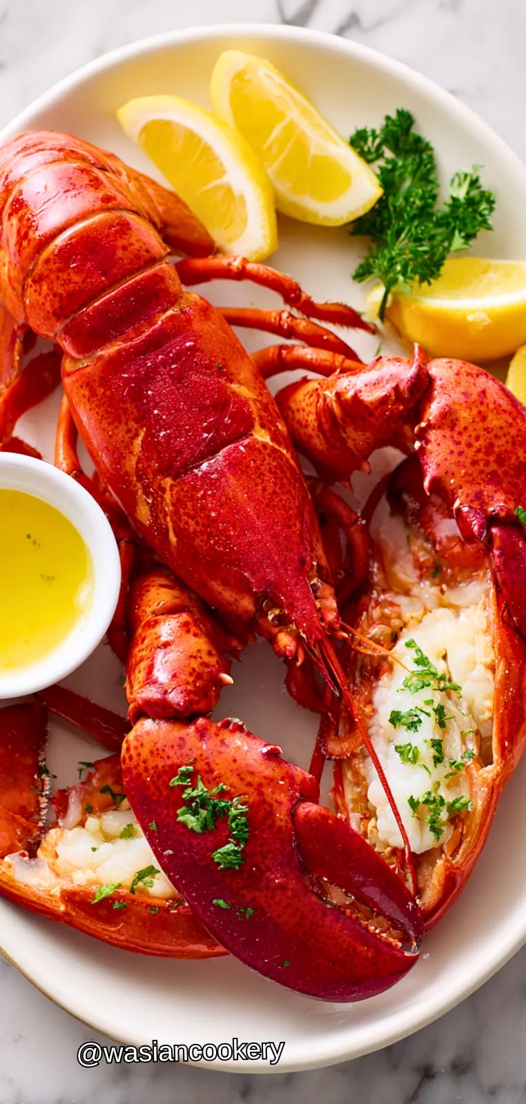 Live Maine Lobster (1.25 lb)