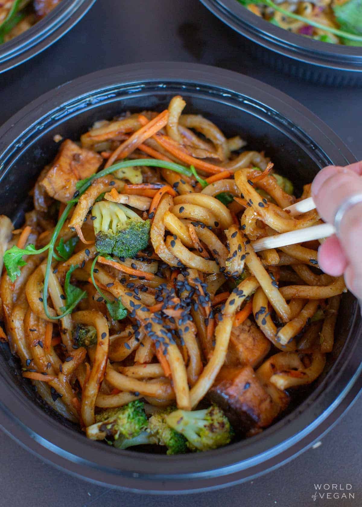 Japanese Pan Noodles (Large)